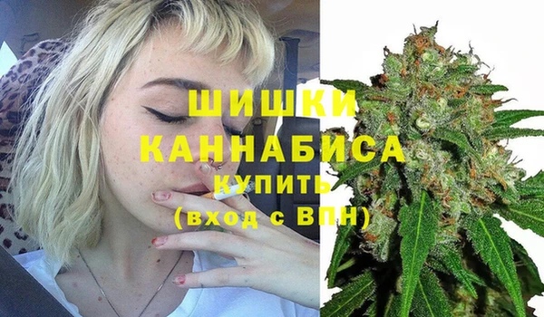 PSILOCYBIN Богородск