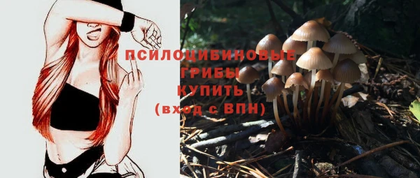 марки nbome Богданович