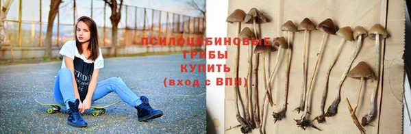 mdpv Беломорск