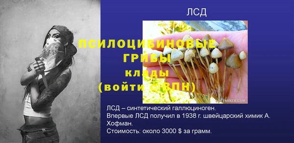 марки nbome Богданович