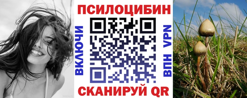 Псилоцибиновые грибы прущие грибы Болгар